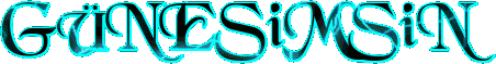 GUN3S�MS�N